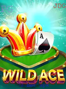 Explorando o Mundo de WildAce: Um Guia Detalhado e Atualizado