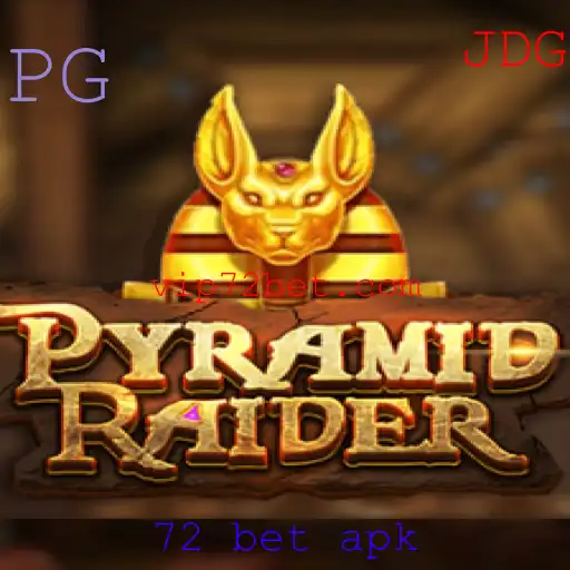 Desvendando o Fascinante Mundo de PyramidRaider